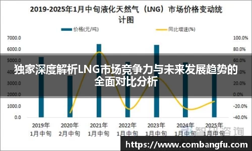 独家深度解析LNG市场竞争力与未来发展趋势的全面对比分析