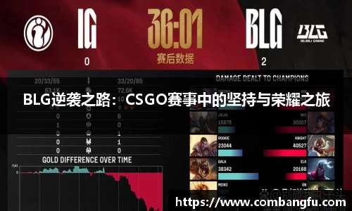 BLG逆袭之路：CSGO赛事中的坚持与荣耀之旅