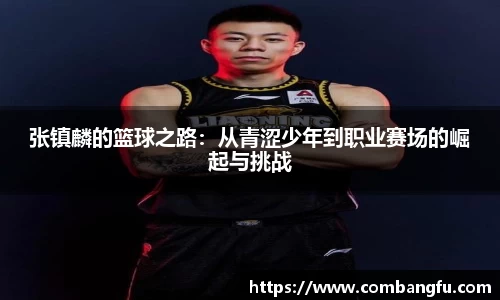 mk体育官网