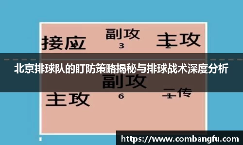 北京排球队的盯防策略揭秘与排球战术深度分析