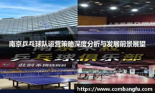 南京乒乓球队运营策略深度分析与发展前景展望
